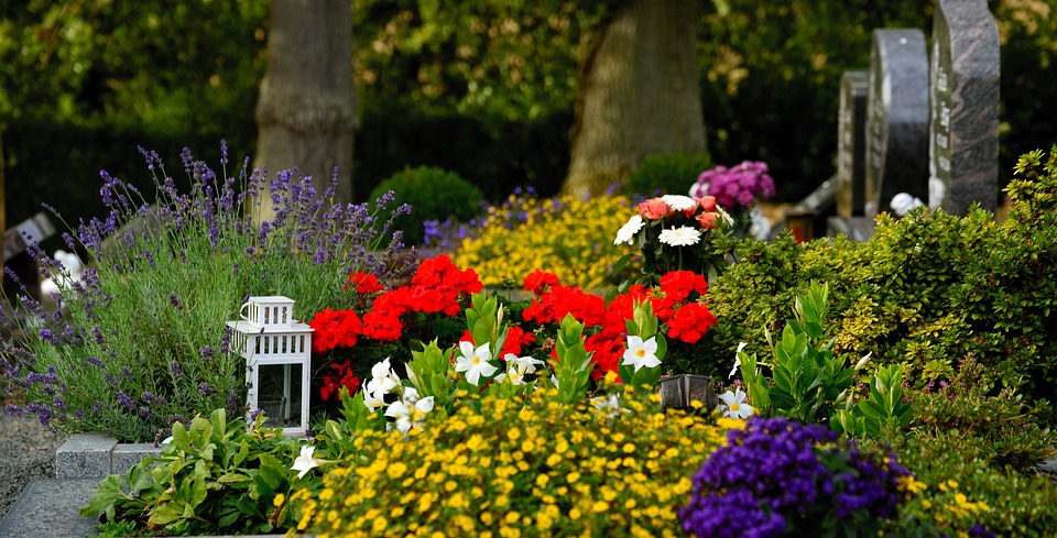 Beautiful bright flowers in a cemetery